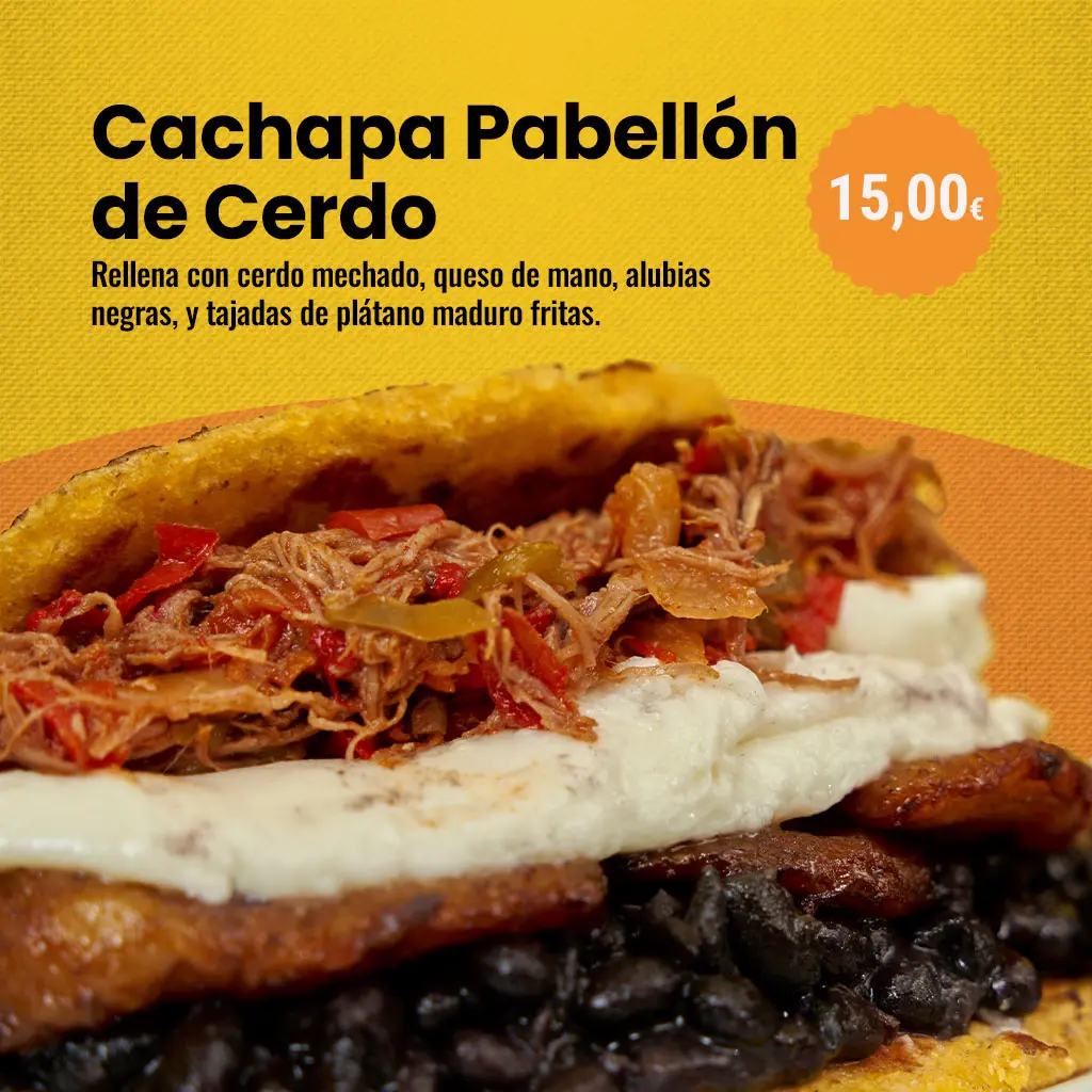 CACHAPA-PABELLON-DE-CERDO copia