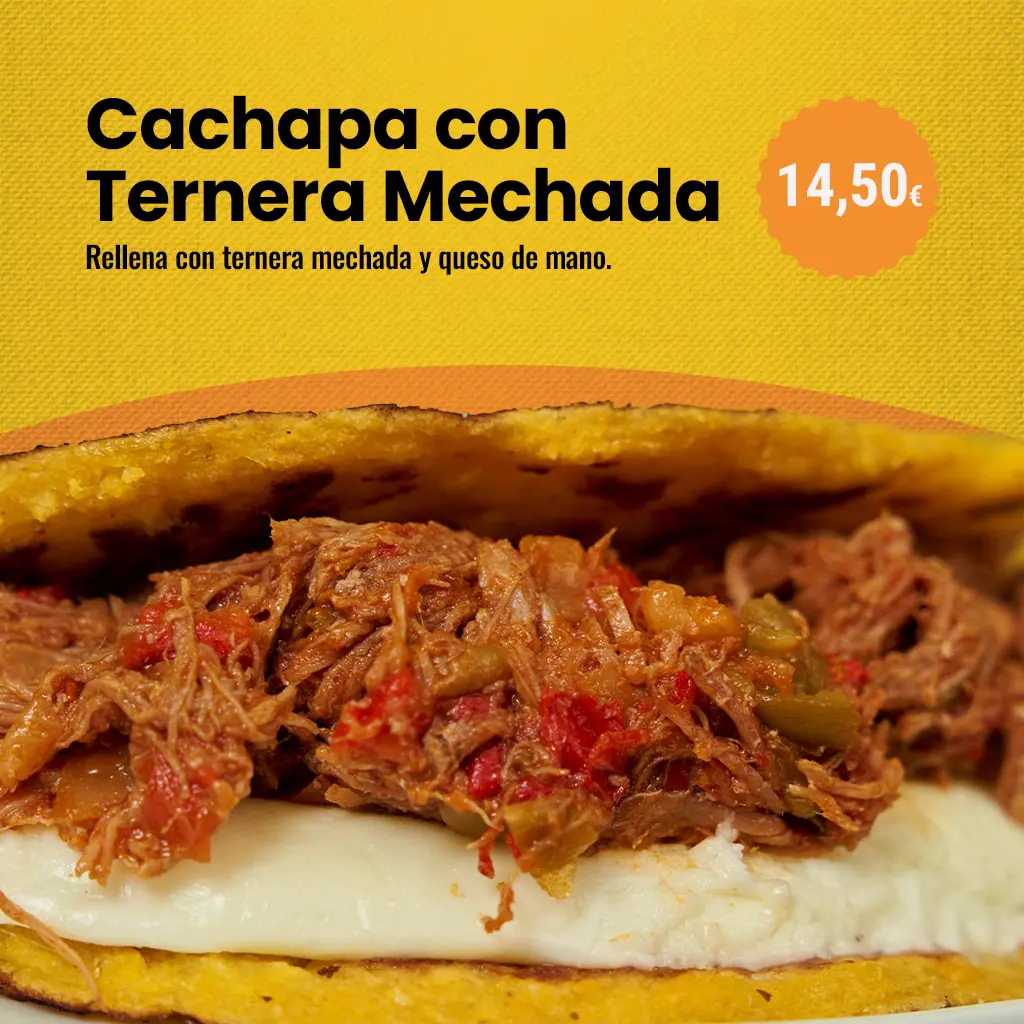 CACHAPA-TERNERA copia