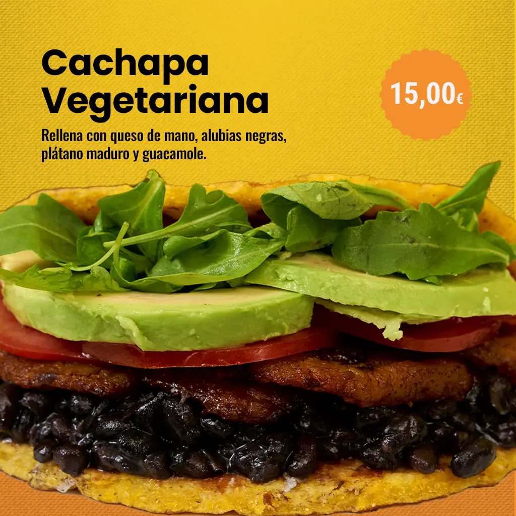 CACHAPA-VEGETARIANA copia